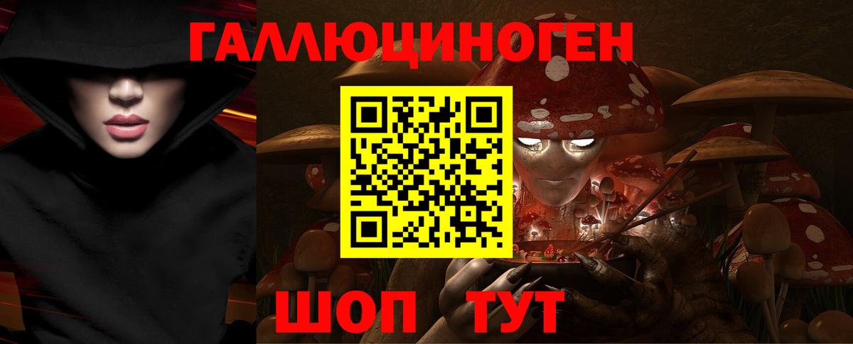 Муром  Псилоцибиновые грибы Psilocybe  Вход с VPN  Галлюциногенные грибы мухоморы 